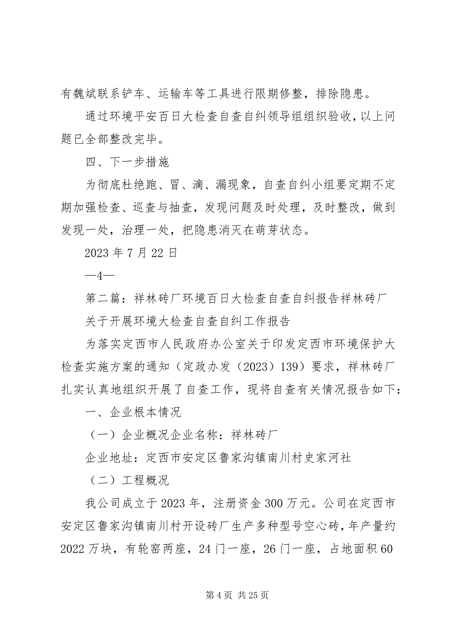 2023年环境百日大检查自查自纠报告.docx_第4页