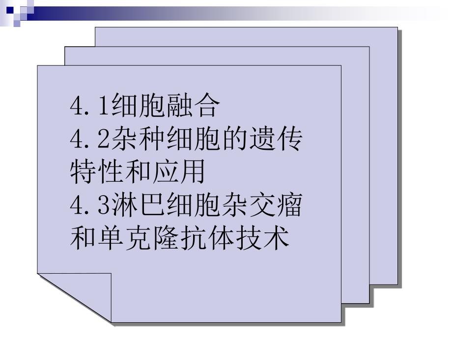 细胞融合-与-单克隆抗体课件_第2页