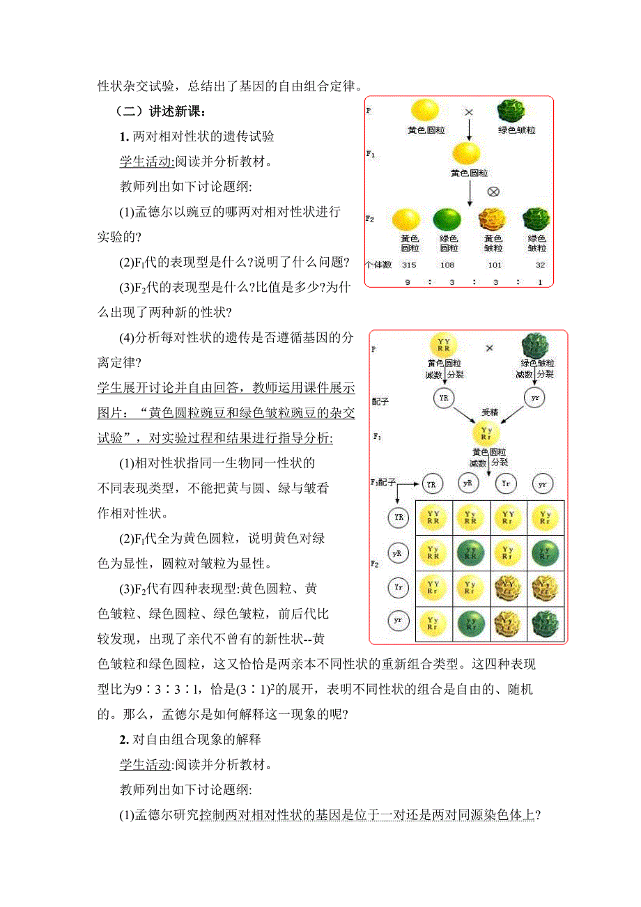 基因的自由组合定律教案_第2页