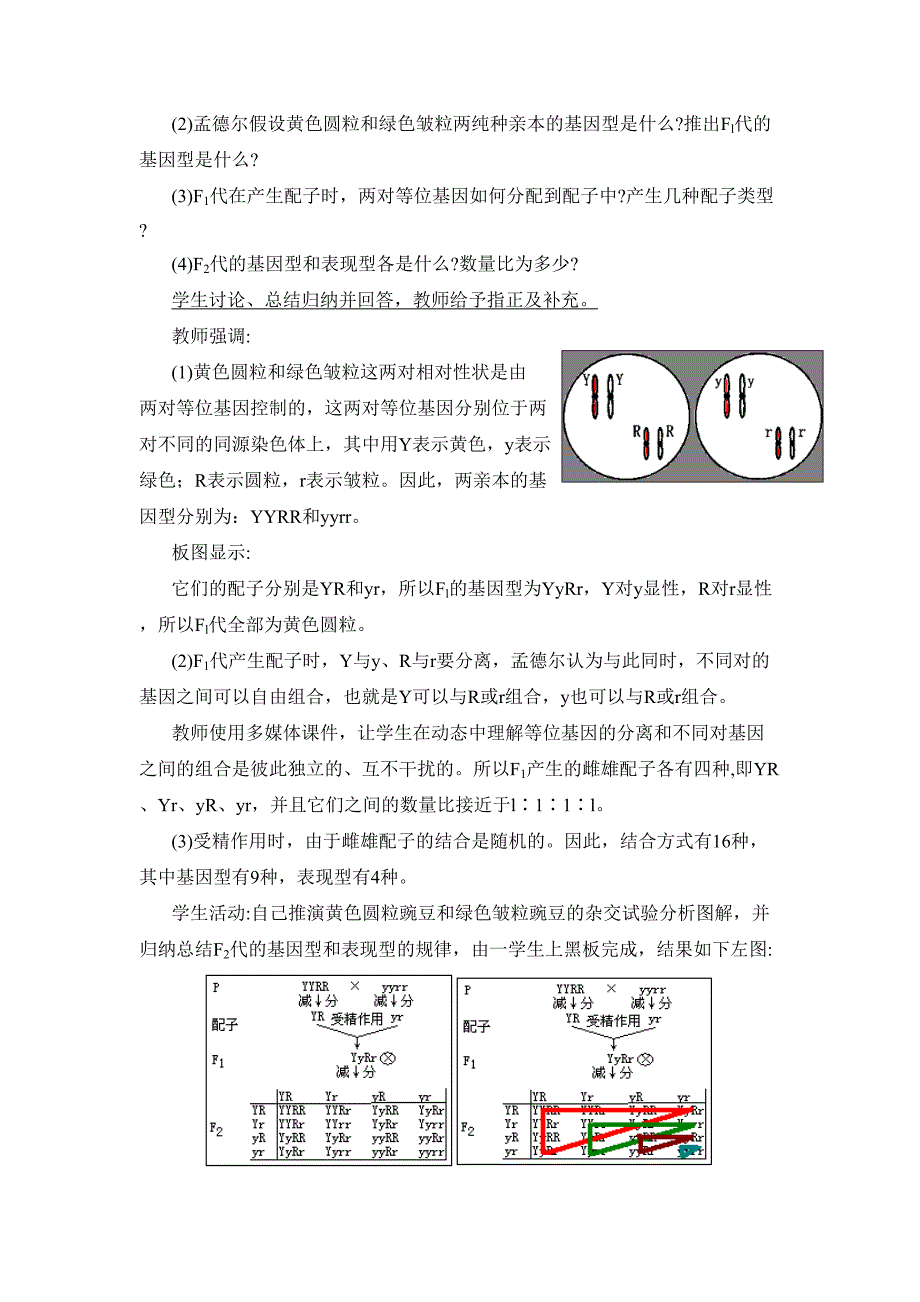 基因的自由组合定律教案_第3页