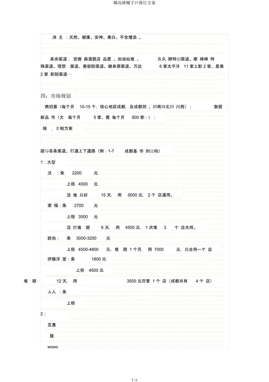 椰岛牌椰子汁推广方案.docx_第5页