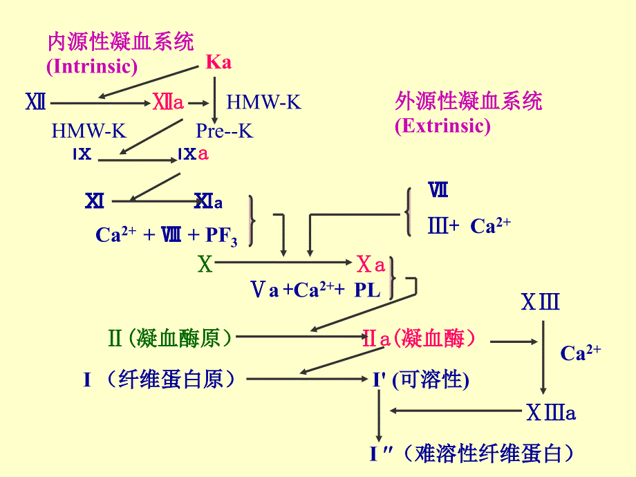 29作用于血液和造血器官的药物1_第3页