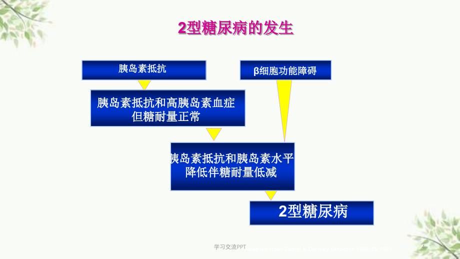 细胞功能与持久稳定控制血糖课件_第4页