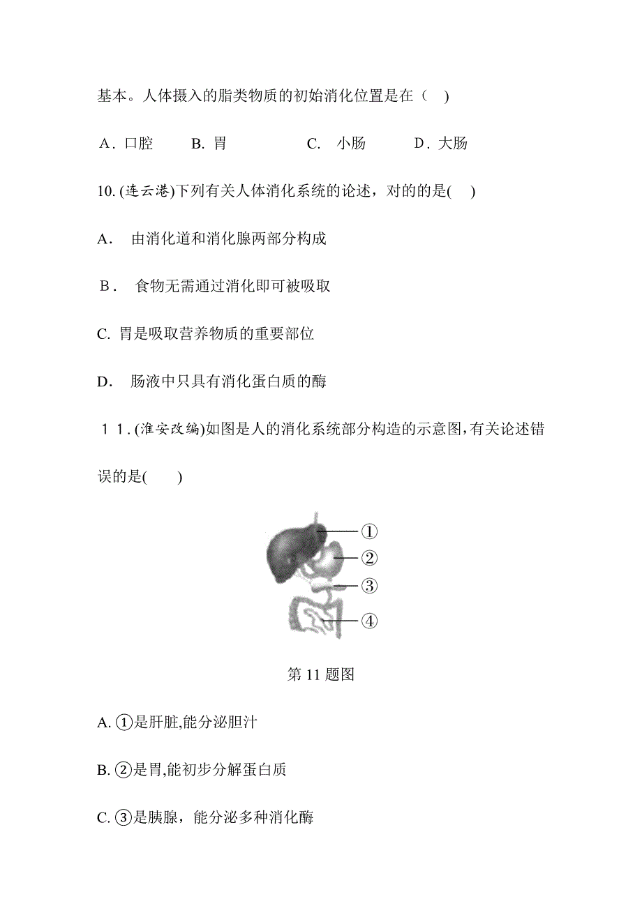 中考生物-教材知识梳理习题-第4单元-生物圈中的人-第2讲-人体的营养_第3页