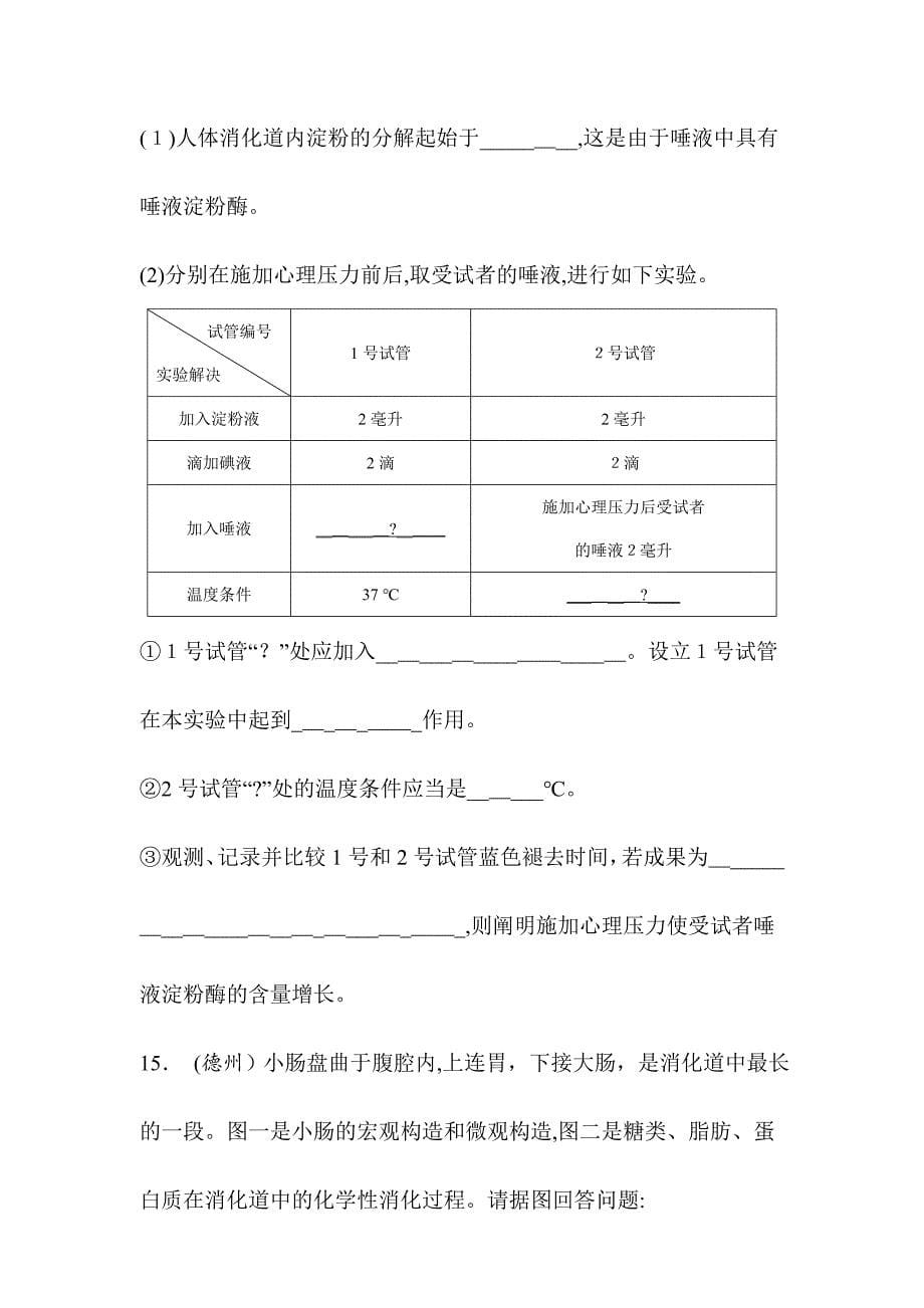 中考生物-教材知识梳理习题-第4单元-生物圈中的人-第2讲-人体的营养_第5页