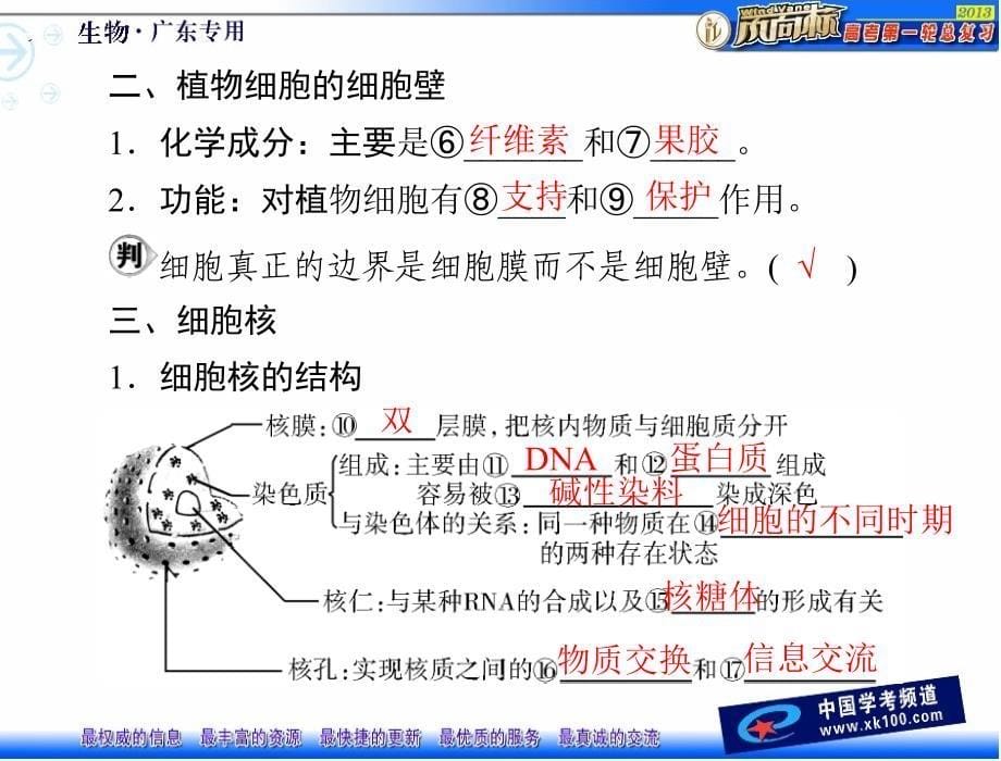 必修第节细胞膜系统的边界细胞核系统的控制中心_第5页