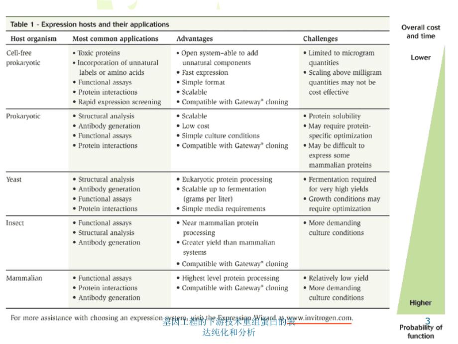 基因工程的下游技术重组蛋白的表达纯化和分析课件_第3页