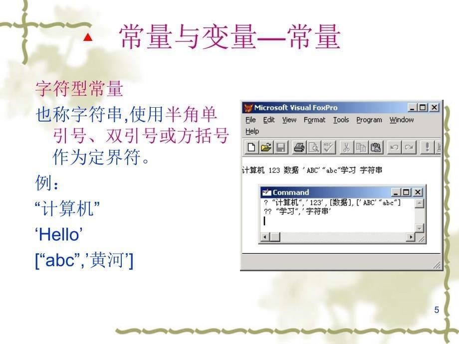 第二章VisualFoxpro程序设计基础_第5页