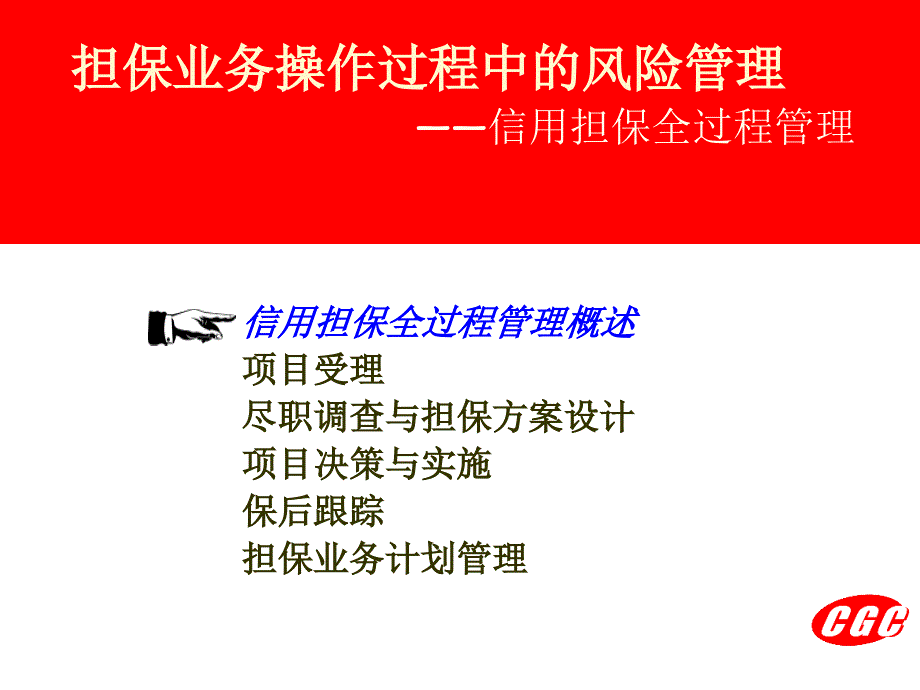 【课件】担保业务操作过程中的风险管理 信用担保全过程管理_第3页