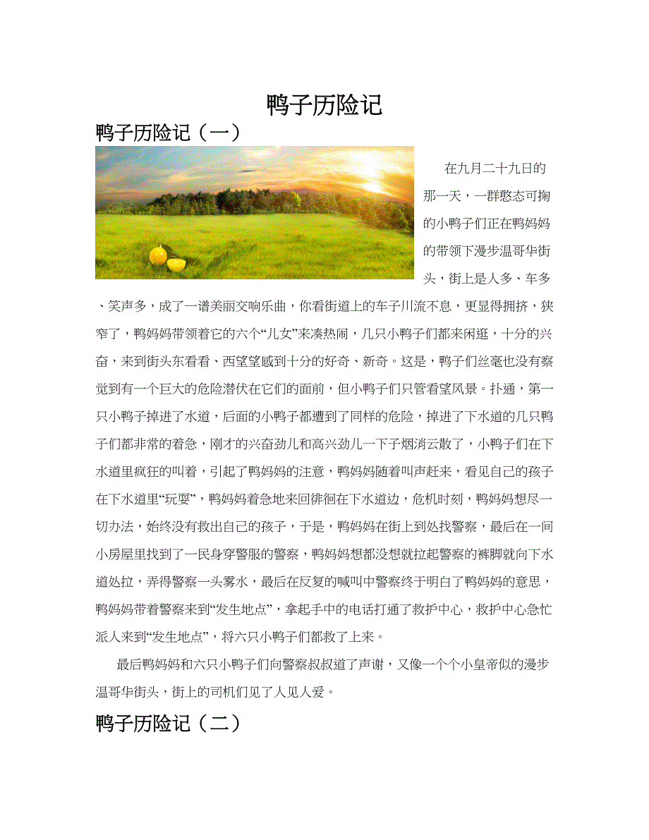 鸭子历险记(共10篇).docx_第1页