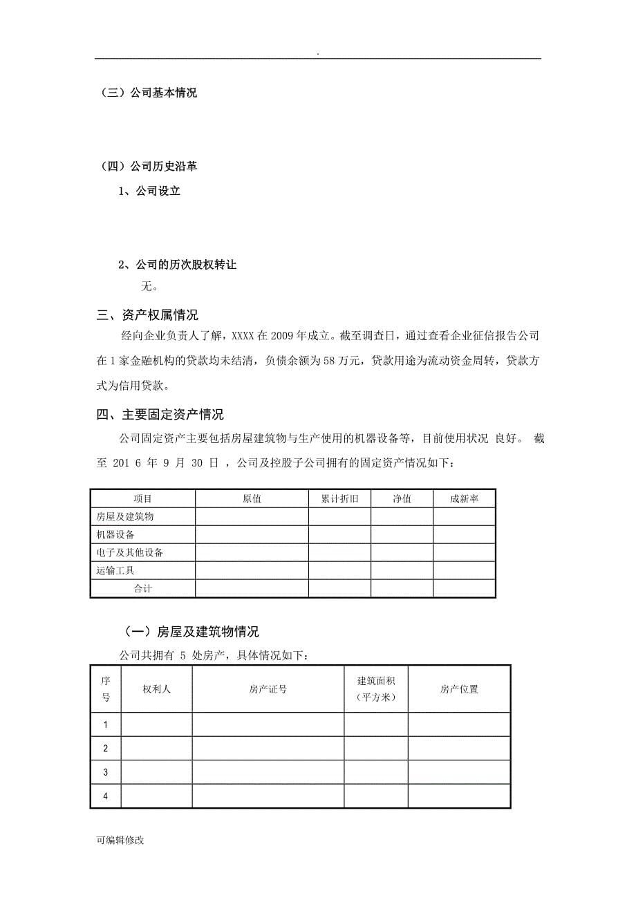 财务尽调报告(模版).doc_第5页