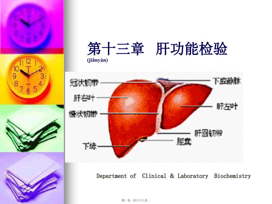 医学专题—肝功能检验讲诉9605_第1页