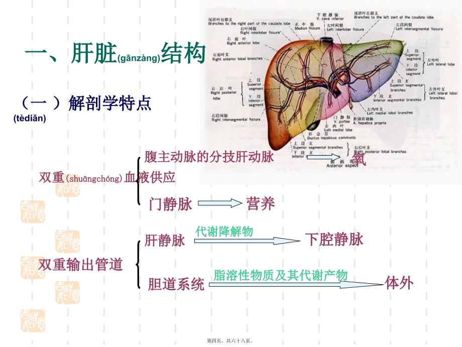 医学专题—肝功能检验讲诉9605_第4页