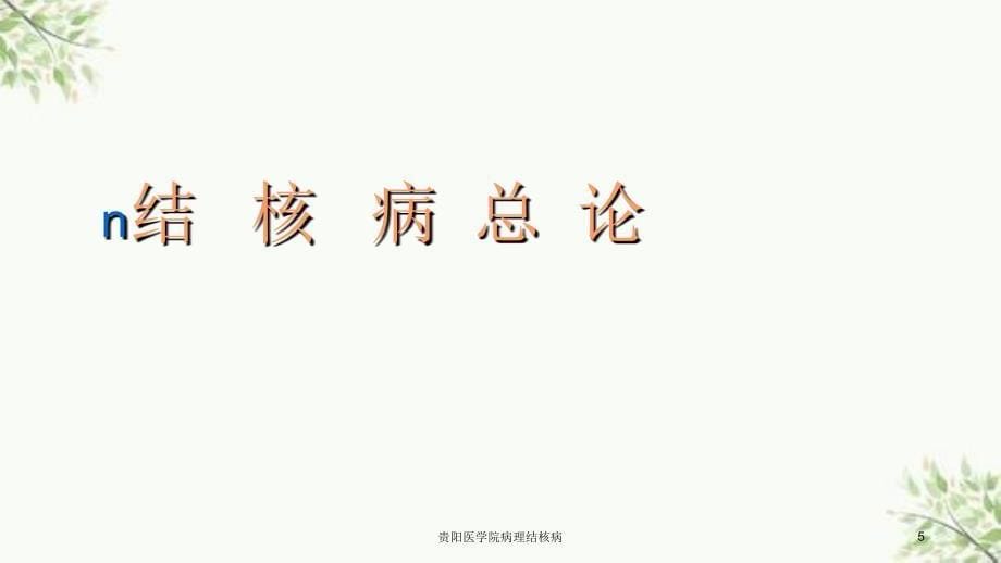 贵阳医学院病理结核病课件_第5页