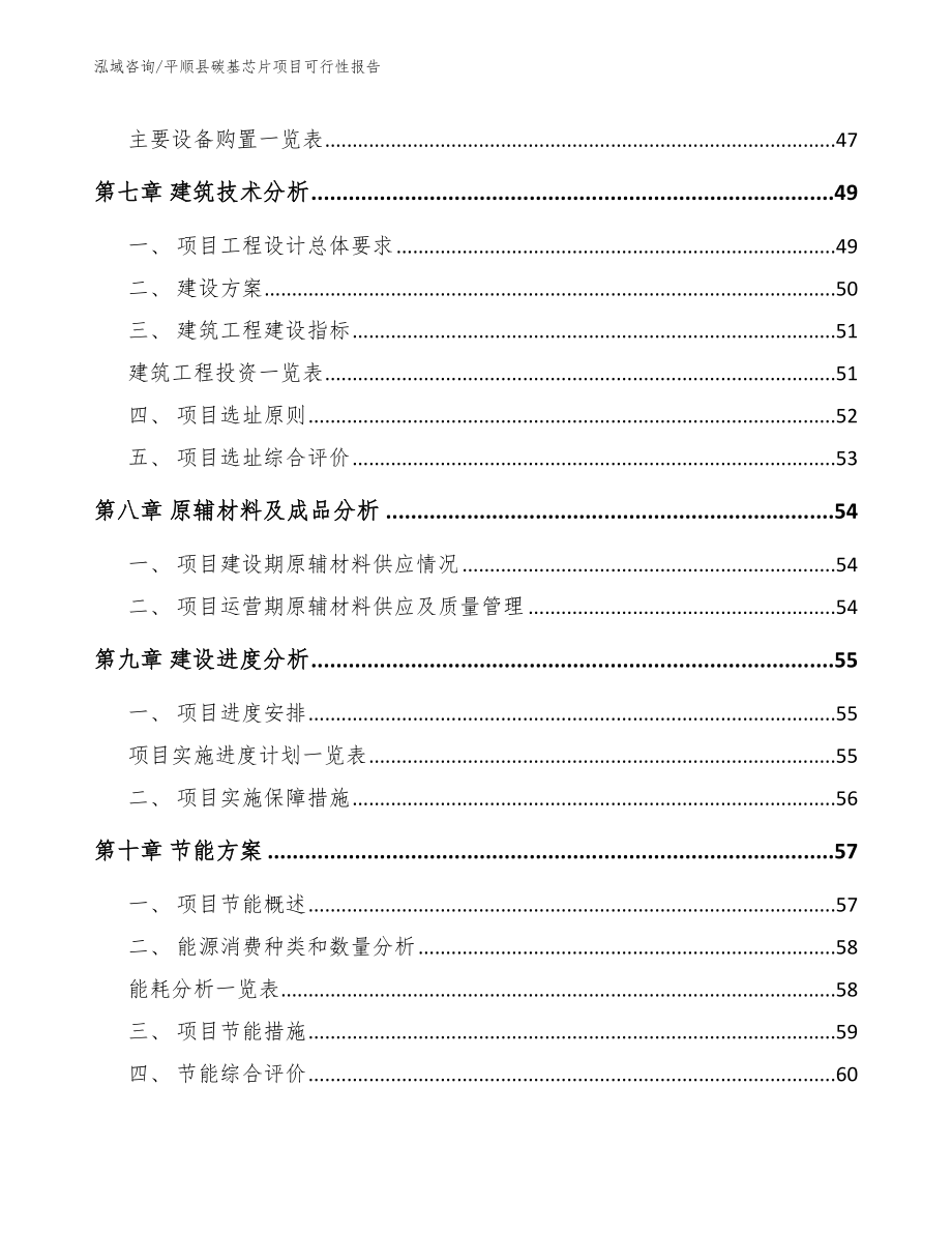 平顺县碳基芯片项目可行性报告参考模板_第4页