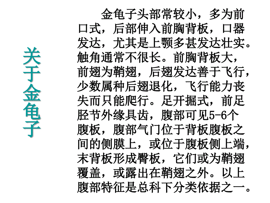 松树金龟子_第4页