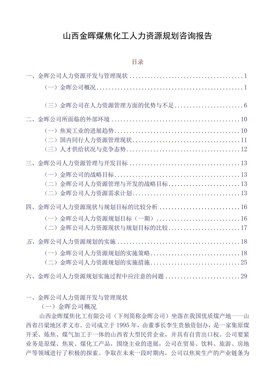 山西金晖煤焦化工人力资源规划咨询报告_第1页