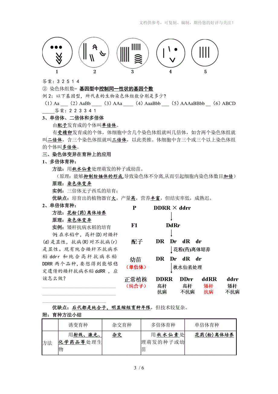 专题八伴性遗传和人类遗传病-学生版_第3页