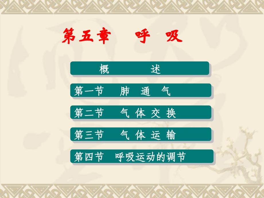 第七章-呼吸课件_第1页