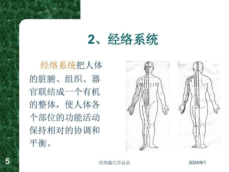 经络腧穴学总论PPT课件_第5页