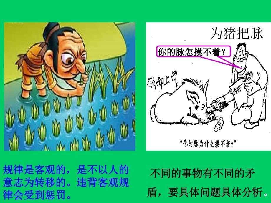 哲学生活处处有哲学上课用PowerPoint演示文稿_第3页