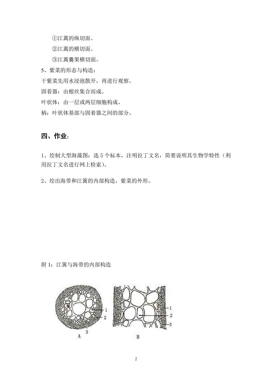 藻类生物学实验11海科_第2页