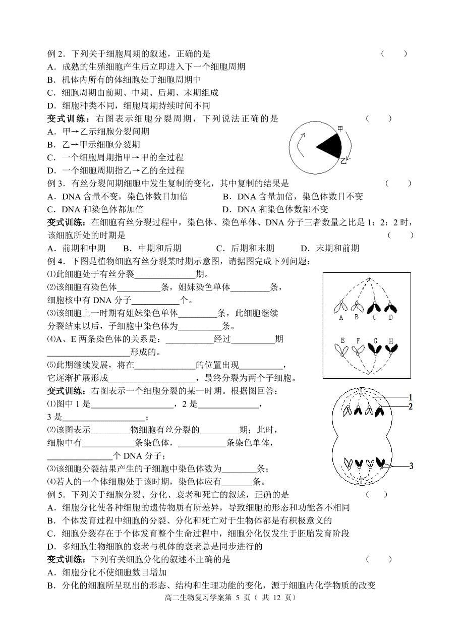 第6章细胞的生命历程.doc_第5页