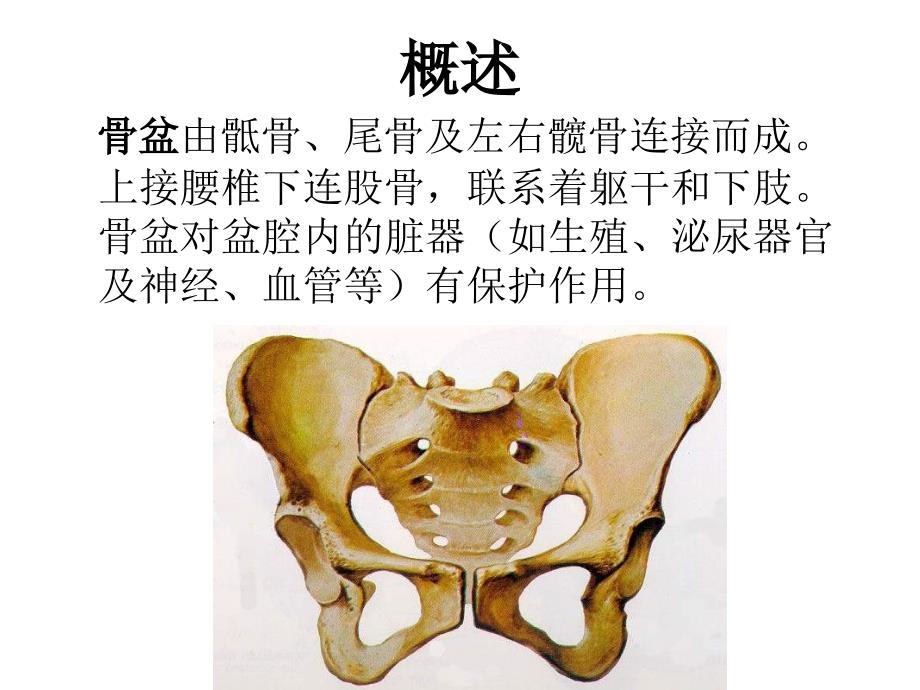 骨盆骨折的护理PPT课件_第3页