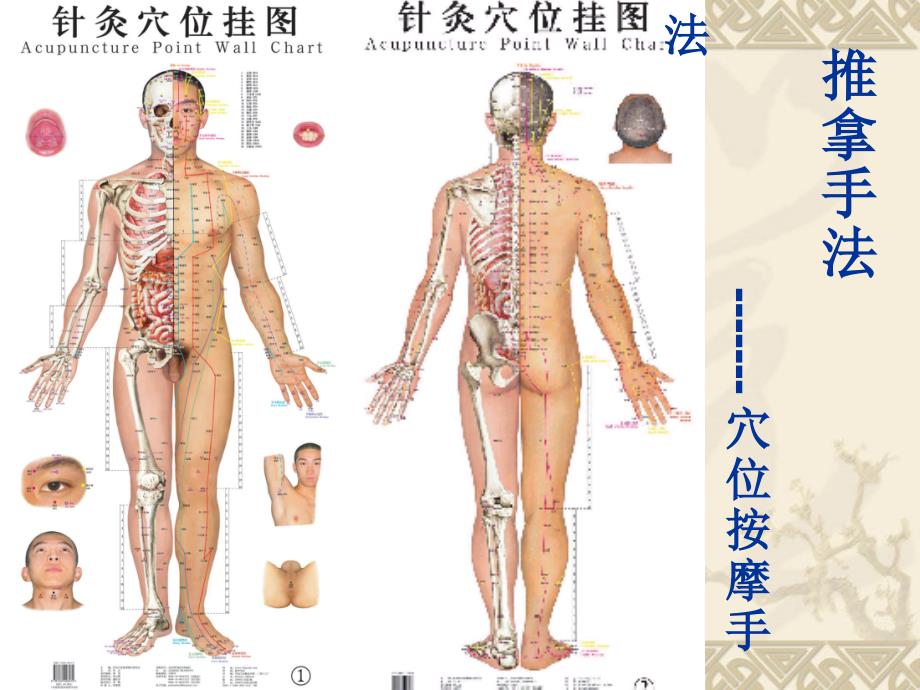 体育保健按摩疗法_第1页