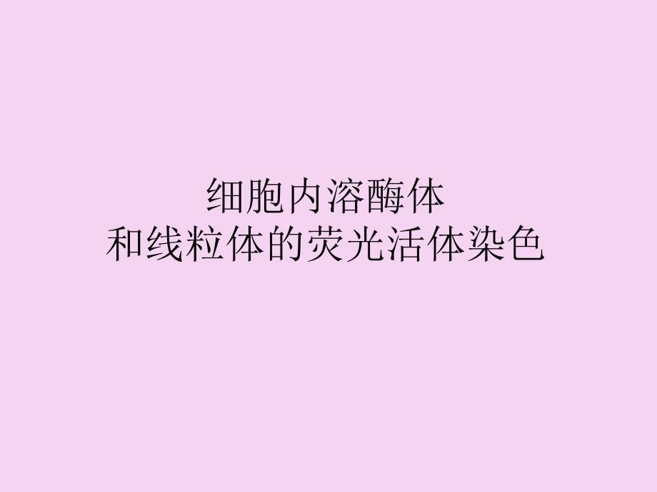 实验八细胞内溶酶体和线粒体的荧光标记ppt课件_第1页
