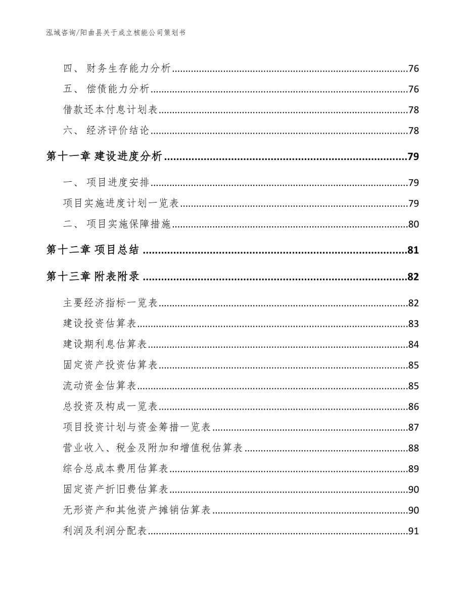 阳曲县关于成立核能公司策划书_第5页