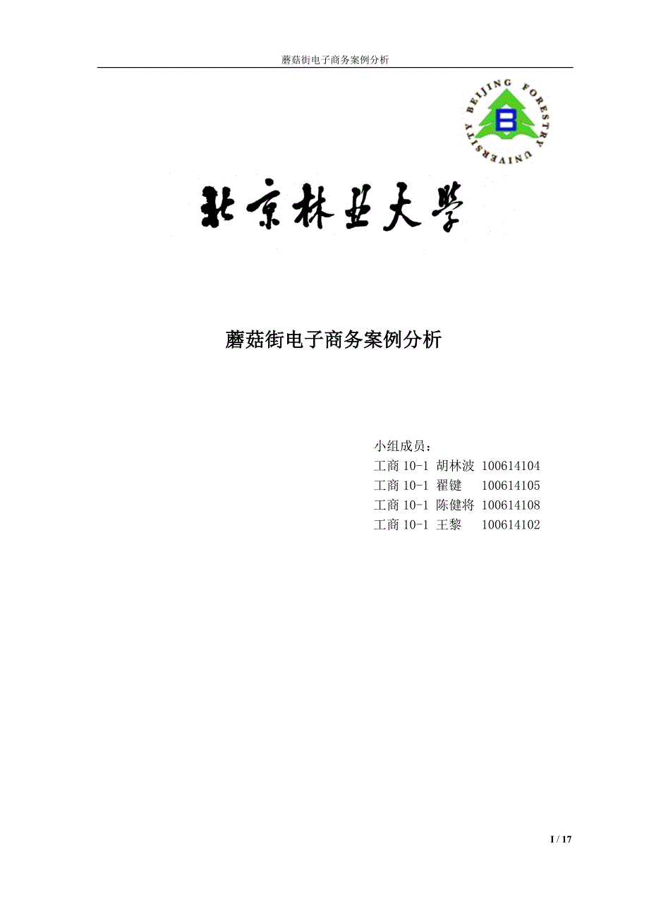 蘑菇街电子商务案例分析报告最终版_第1页