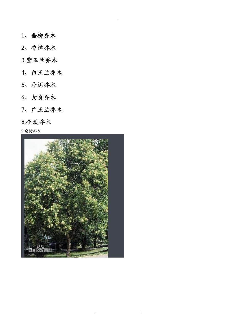 104种苗木名称以及图片表_第1页