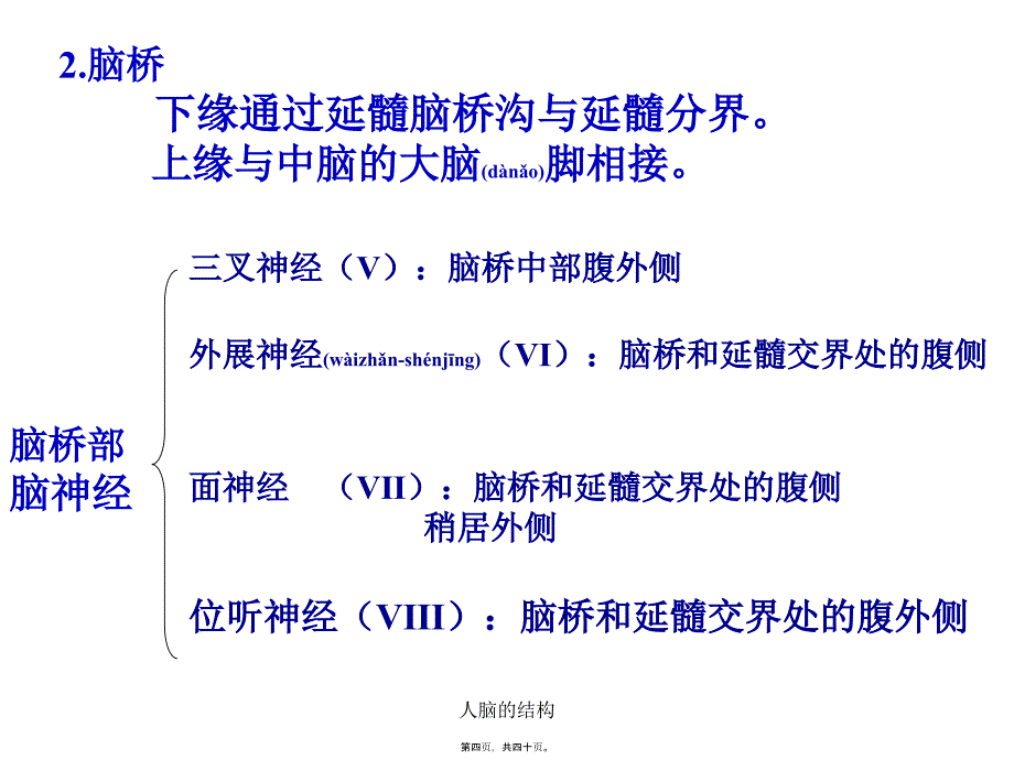 人脑的结构课件_第4页