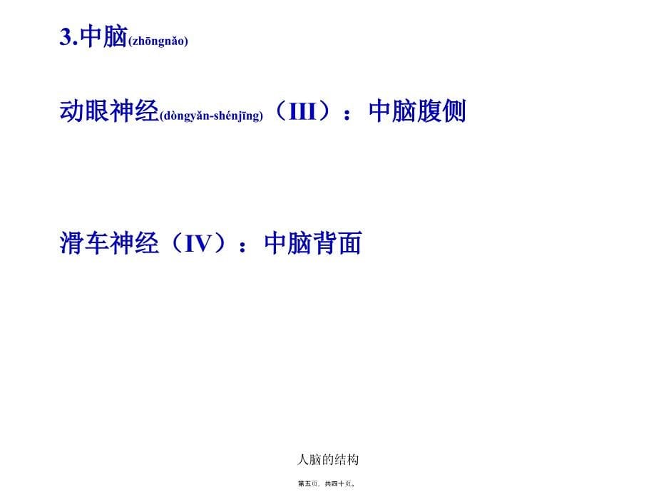 人脑的结构课件_第5页