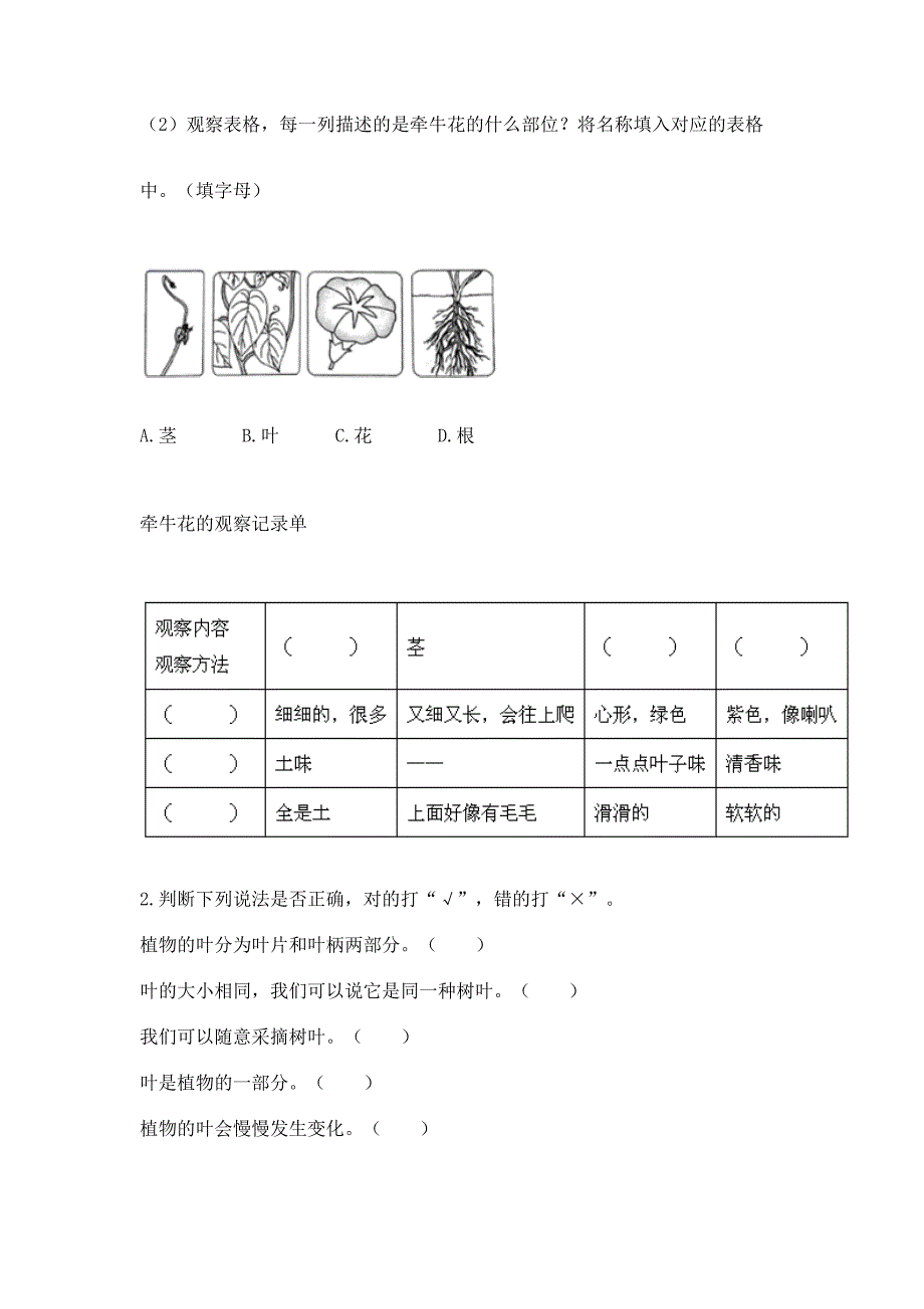 教科版科学一年级上册第一单元《植物》测试卷加答案(历年真题).docx_第4页