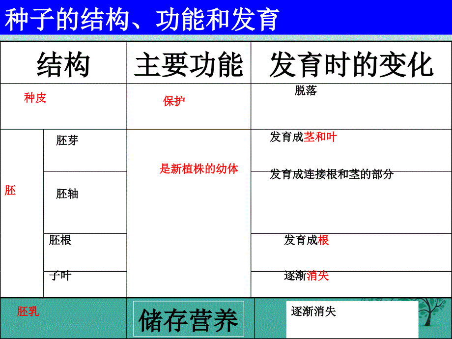 精品七年级生物上册321种子的萌发课件新版新人教版1可编辑_第4页