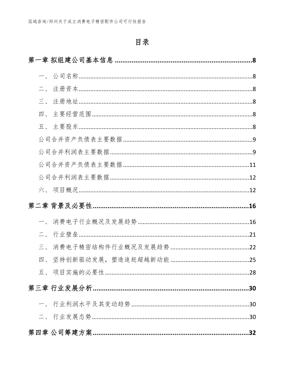 郑州关于成立消费电子精密配件公司可行性报告_模板范文_第2页