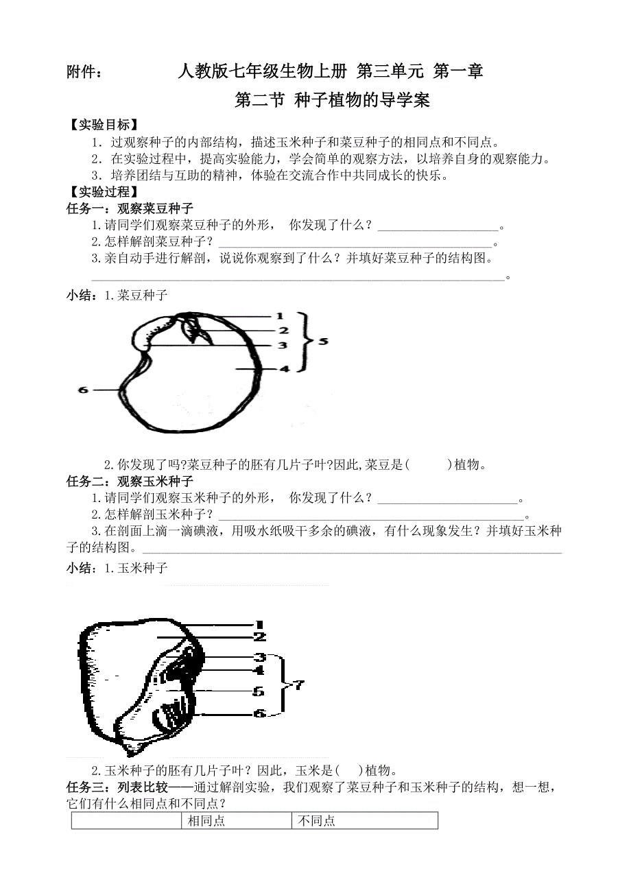 《种子植物》生物优秀教学设计(教案)_第4页