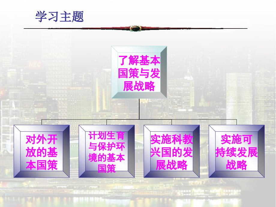 九年级政治第四课对外开放的基本国策复习课件人教新课标版_第2页