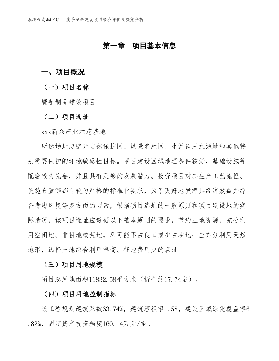 魔芋制品建设项目经济评价及决策分析模板范文.docx_第2页