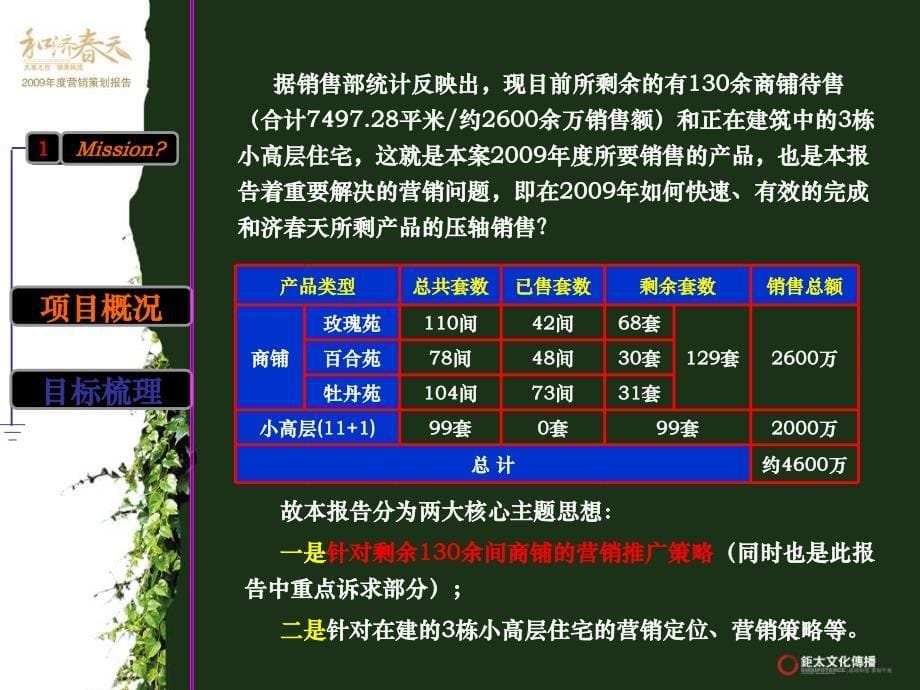 和济春天地产项目年度营销策划报告(ppt)_第5页