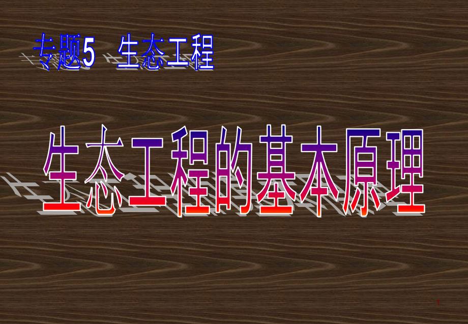 人教版教学课件08年江苏生物生态工程的基本原理_第1页