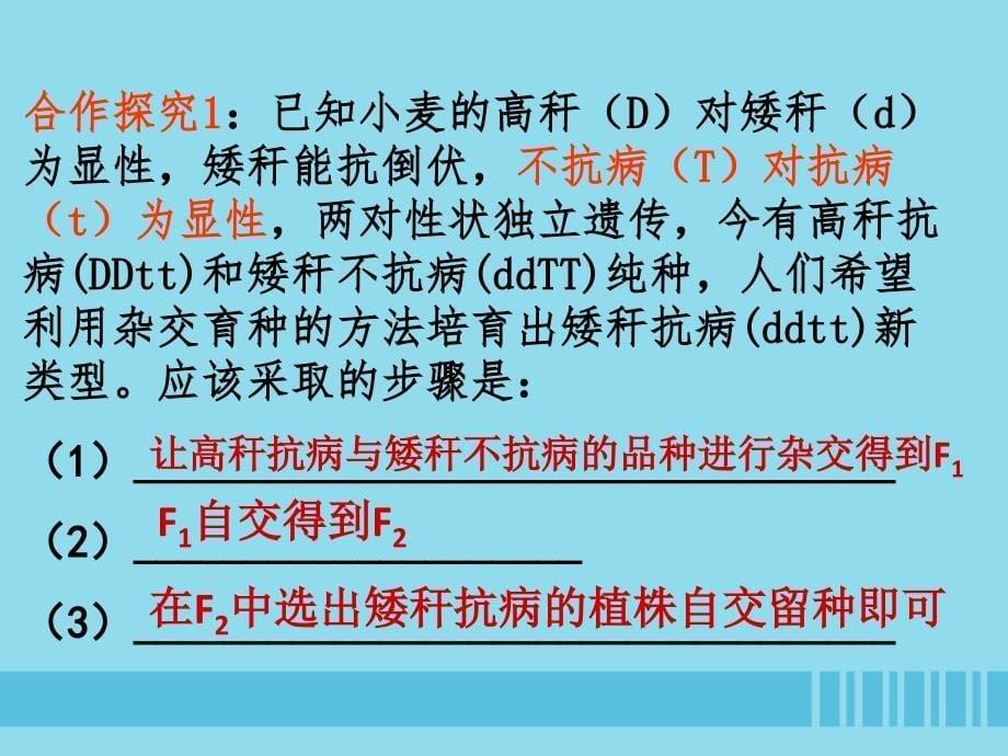 2018-2019学年高中生物 第6章 第1节 杂交育种与诱变育种 设计一 杂交育种与诱变育种课件 新人教版必修2_第5页