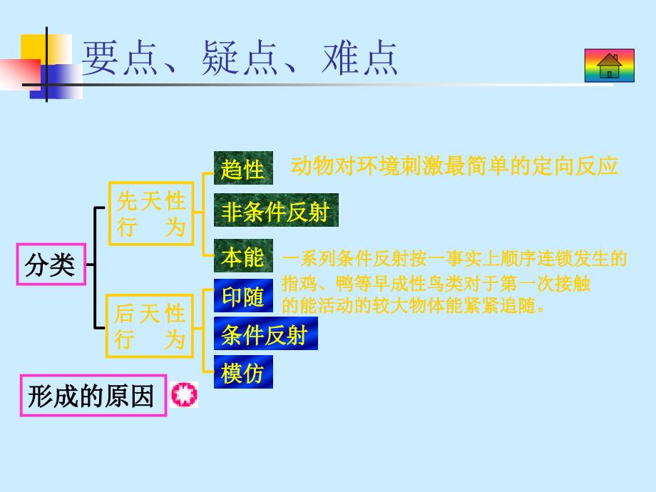 大纲版生物课件9.5_第3页