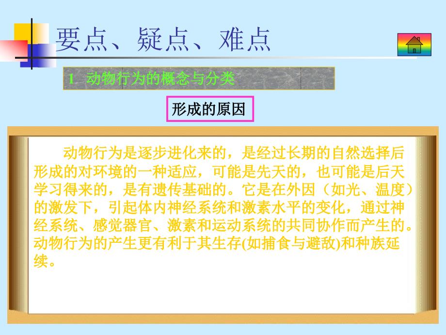 大纲版生物课件9.5_第4页