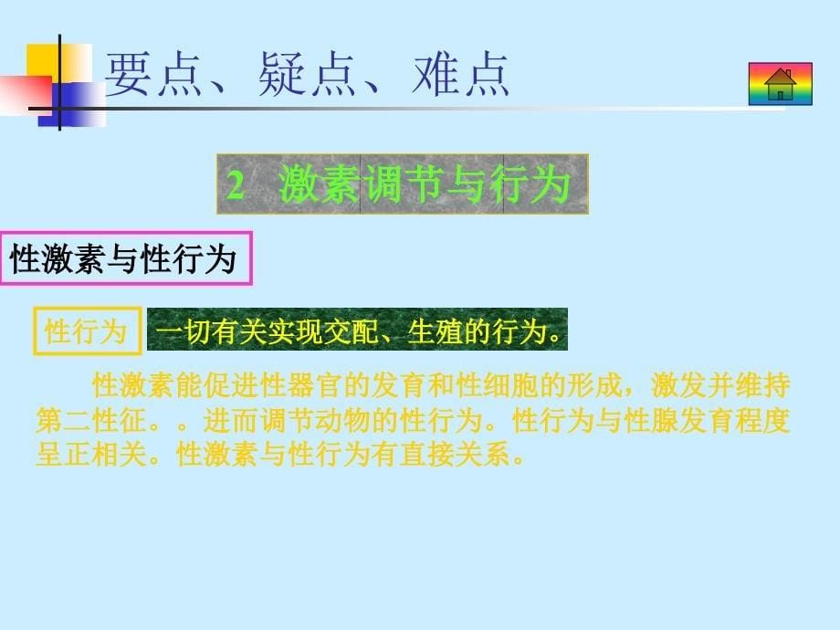 大纲版生物课件9.5_第5页