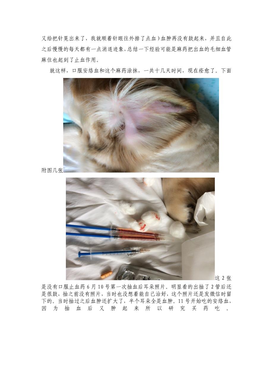 犬耳血肿保守疗法.doc_第2页