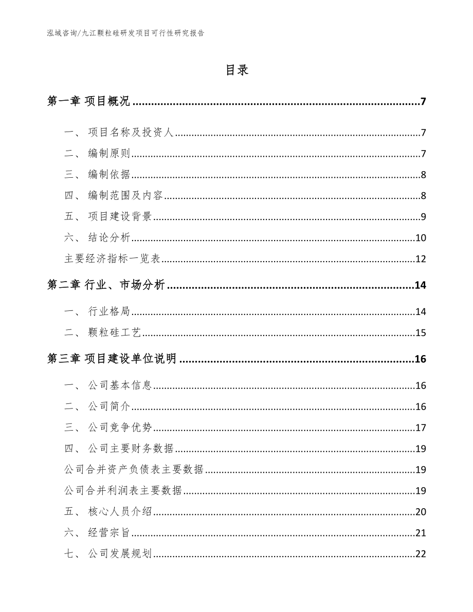 九江颗粒硅研发项目可行性研究报告_范文参考_第1页