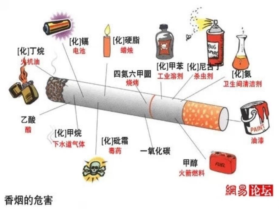 不吸烟不喝酒ppt课件_第5页